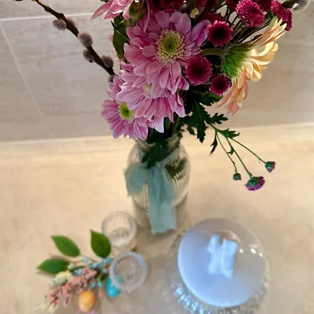 Al-dom Marjonas Zielone Tarasy Apartment Kolberg